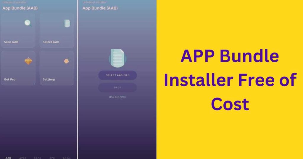 App bundle installer